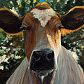 Eileen the Cow
