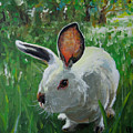 Runaway Bunny